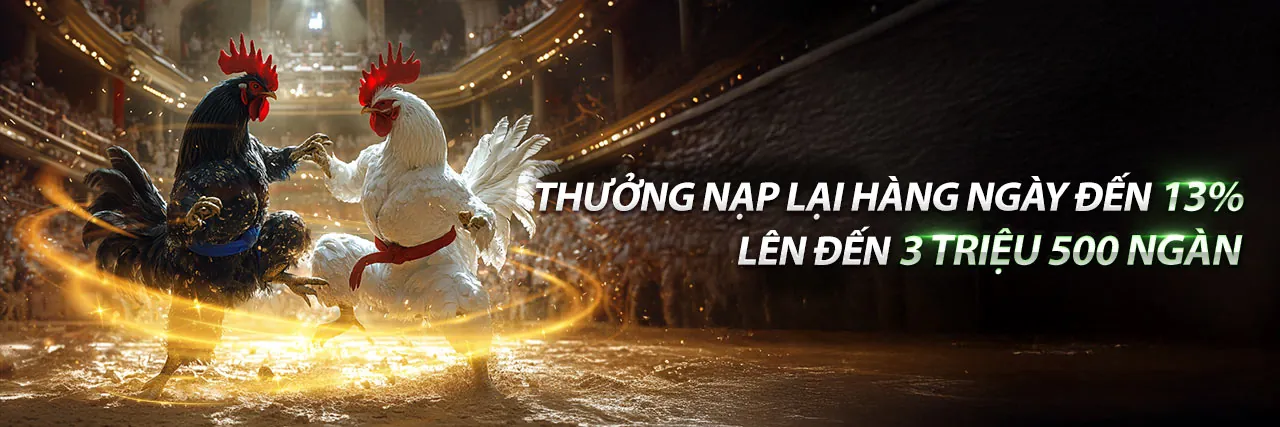 Hình ảnh khuyến mãi độc quyền tại 8dayvn đăng nhập